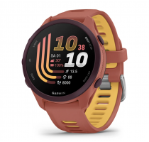 Garmin Forerunner 170 Music red pink (010-03920-13) 4 GB